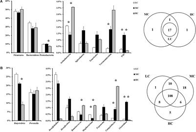 The Regulation of Ruminal Short-Chain Fatty Acids on the Functions of Rumen Barriers